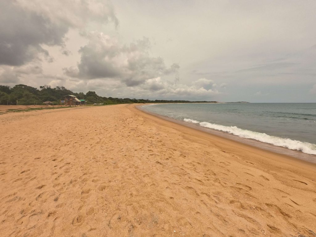 Yellow sand beach and jungle